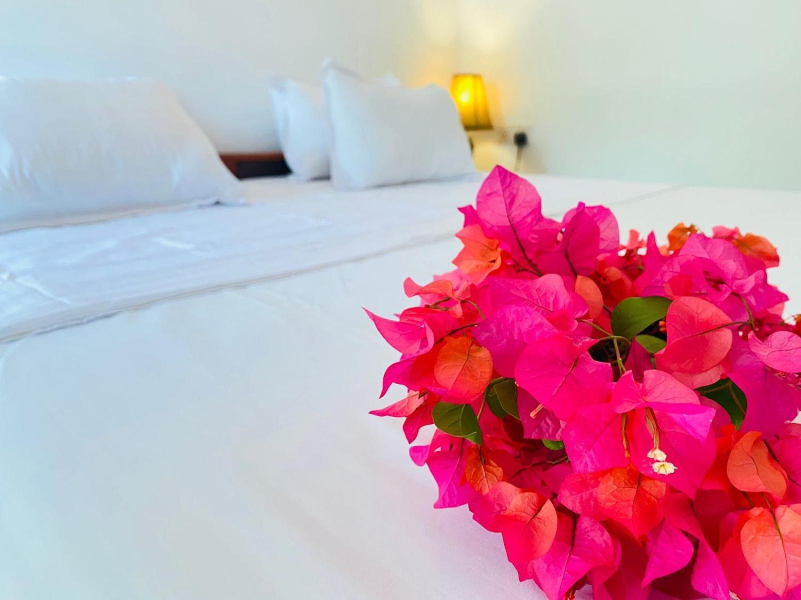 Aaliya Bay Hotell Arugam Kudah Eksteriør bilde